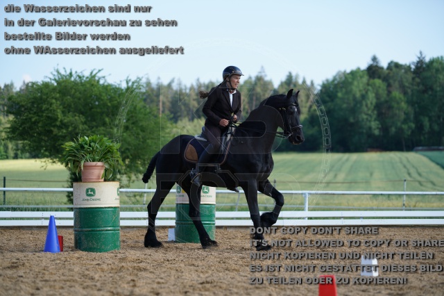 s_K3F05547.JPG
